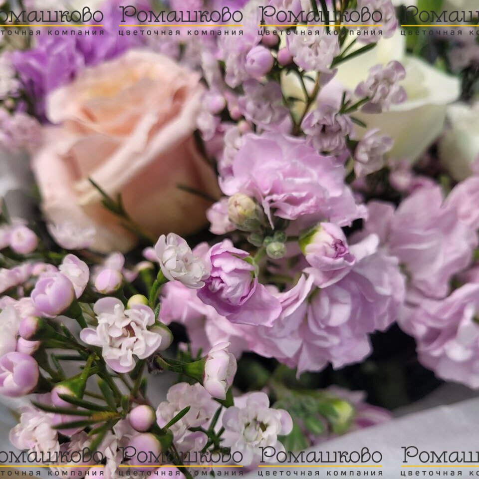 Букет из гортензий «Сахарная вата»