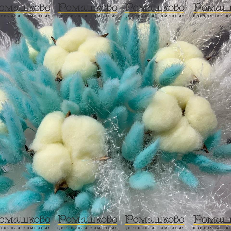 Коробочка из сухоцветов «Зимнее очарование»