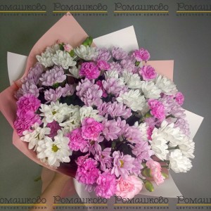 Превью Букет из хризантемы «Дарси»