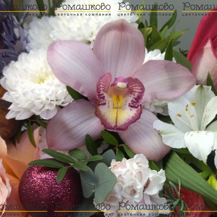 Бокс «Зимний»