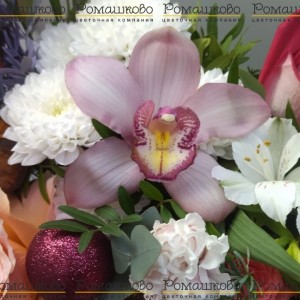 Превью Бокс «Зимний»