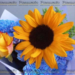 Превью Букет «Солнце в небе»