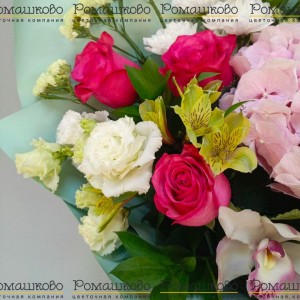 Превью Букет из гортензий «Сафлоровый цвет»