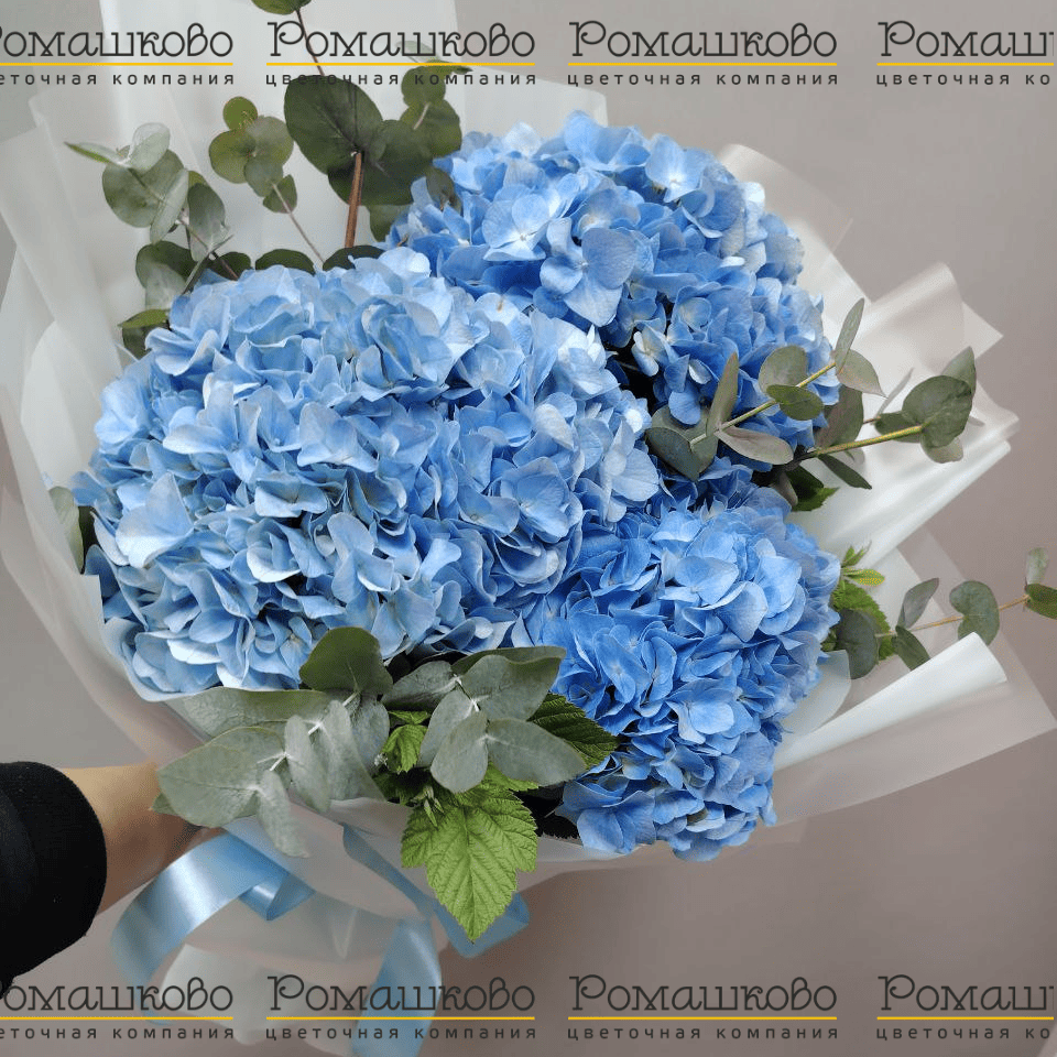 Букет из 3 нежно-голубых гортензий