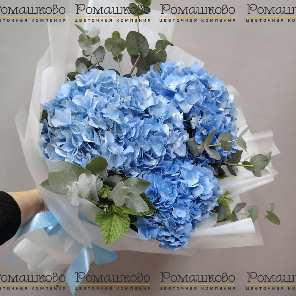 Букет из 3 нежно-голубых гортензий