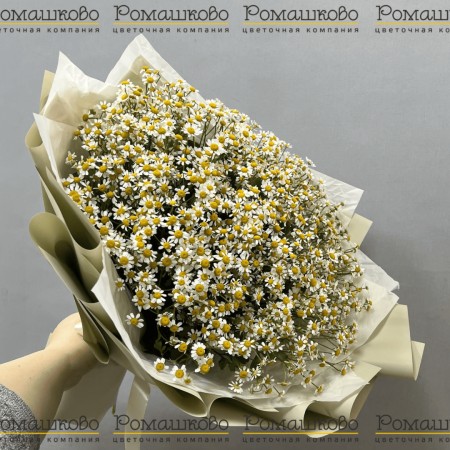 Букет «Ромашковый луг»
