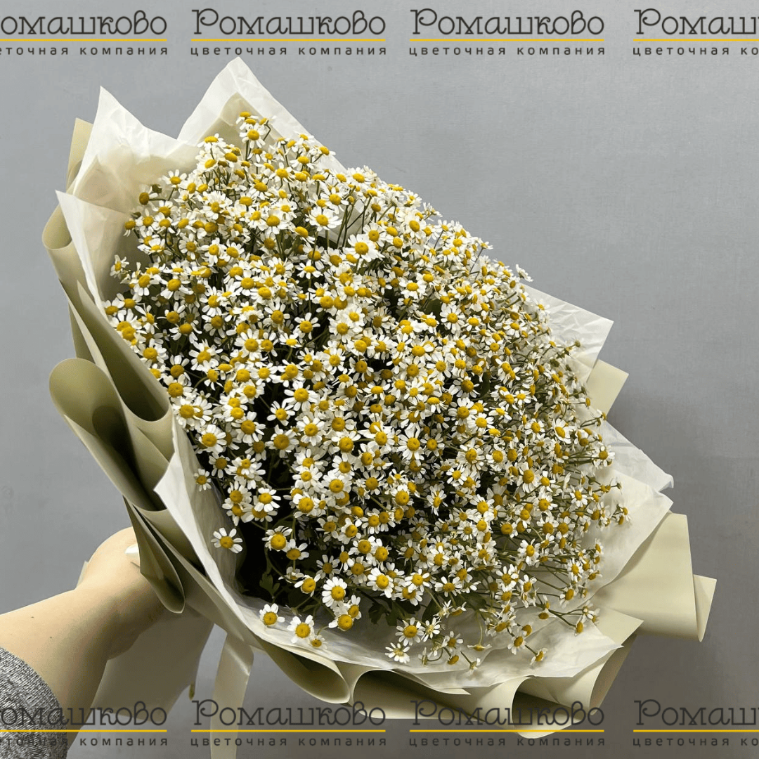Букет «Ромашковый луг»