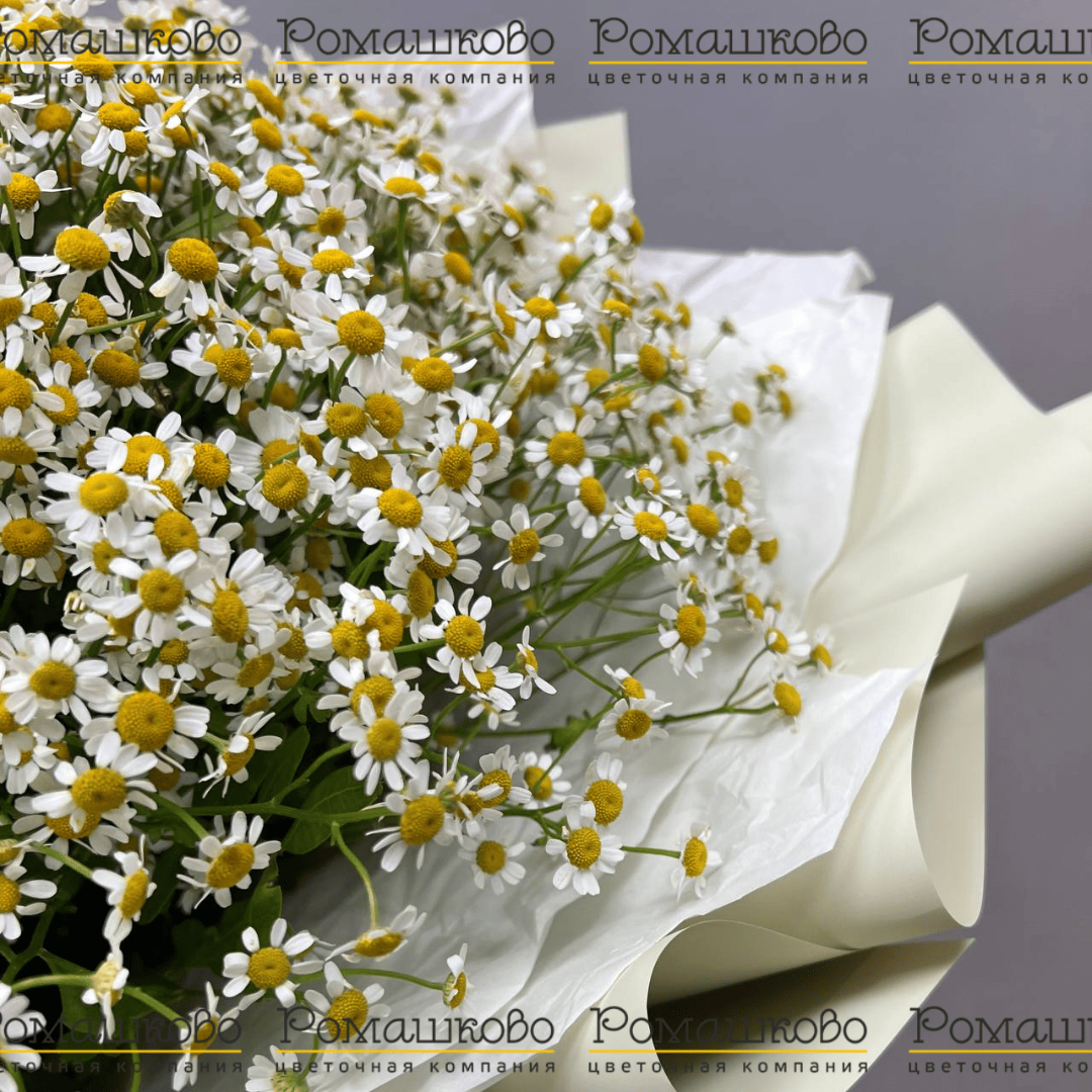 Букет «Ромашковый луг»