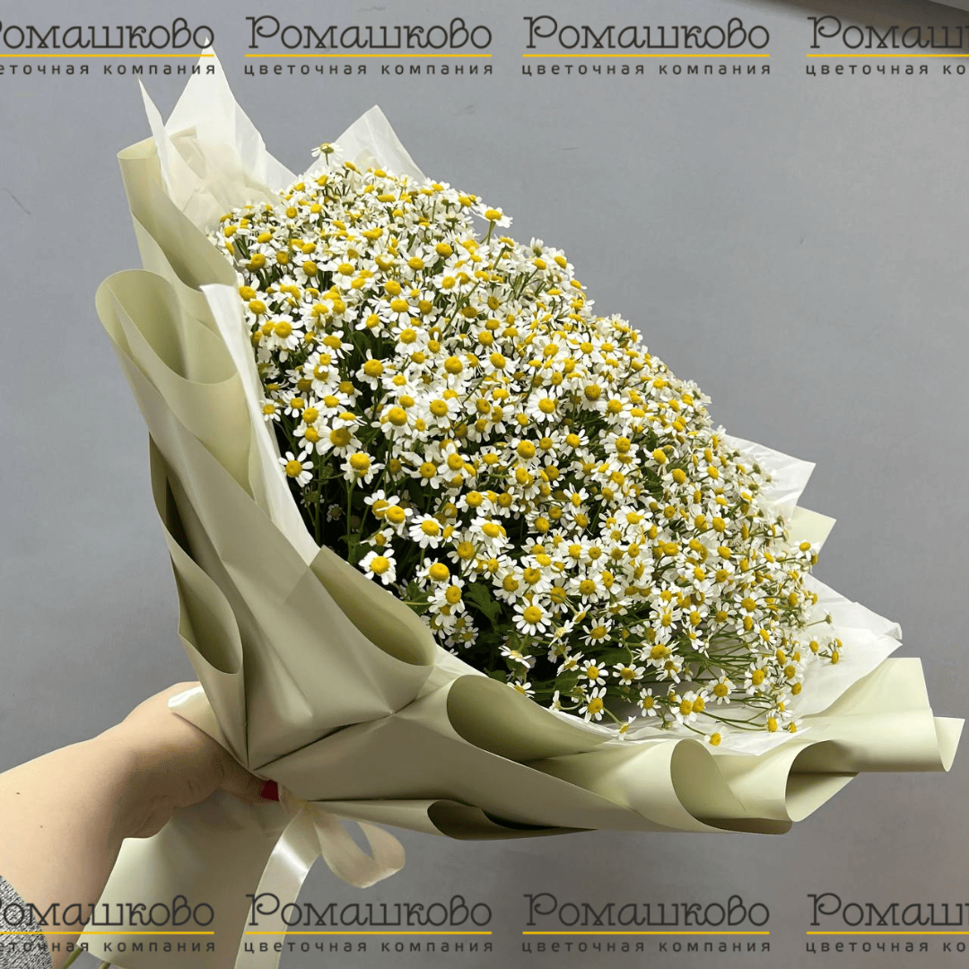Букет «Ромашковый луг»