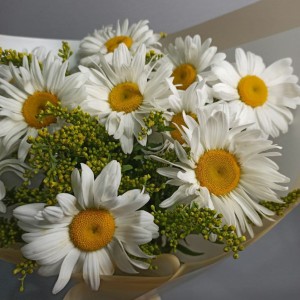 Превью Букет «Ромашковый луг»