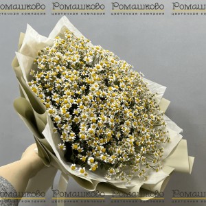 Превью Букет «Ромашковый луг»
