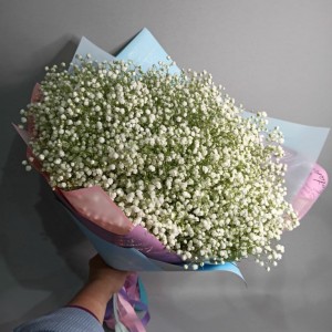 Превью Букет «Качим»