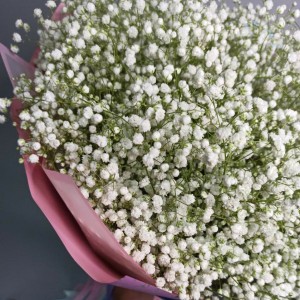 Превью Букет «Качим»