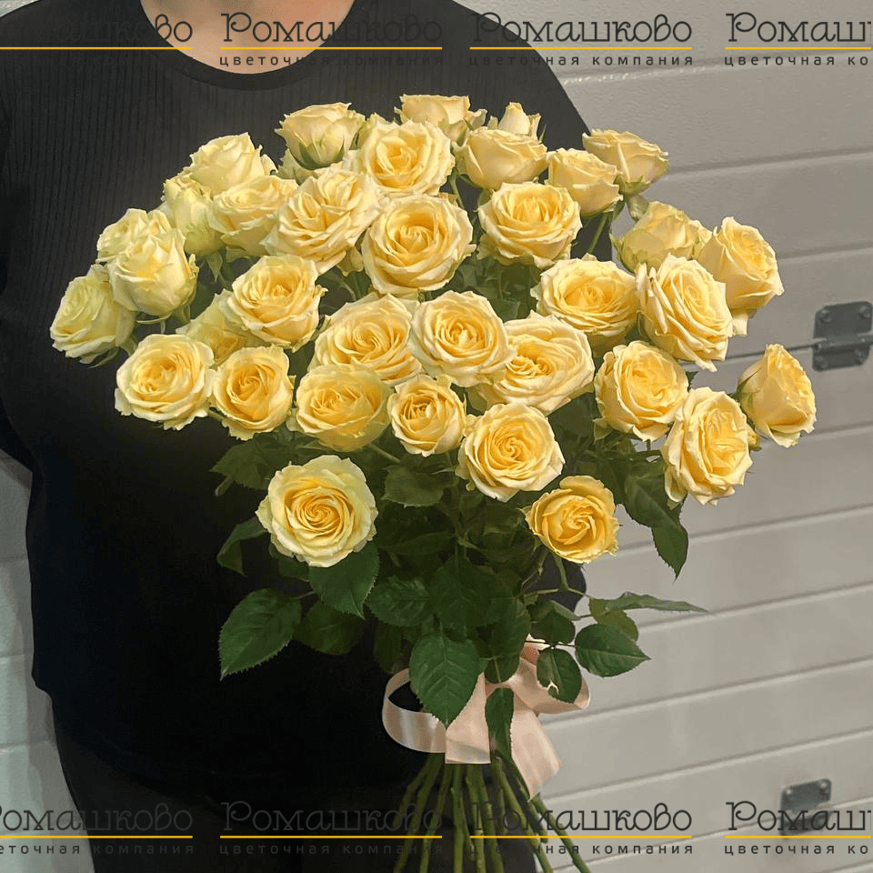 Кремовая кустовая роза