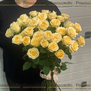 Превью Кремовая кустовая роза