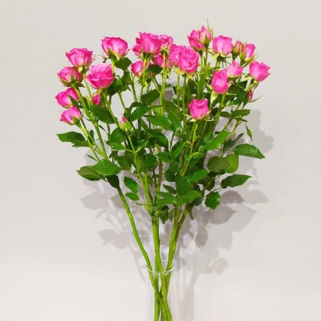 Розовая кустовая роза за 1 950 - «Ромашково» в Красноярске