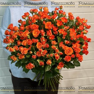 Превью Оранжевая кустовая роза