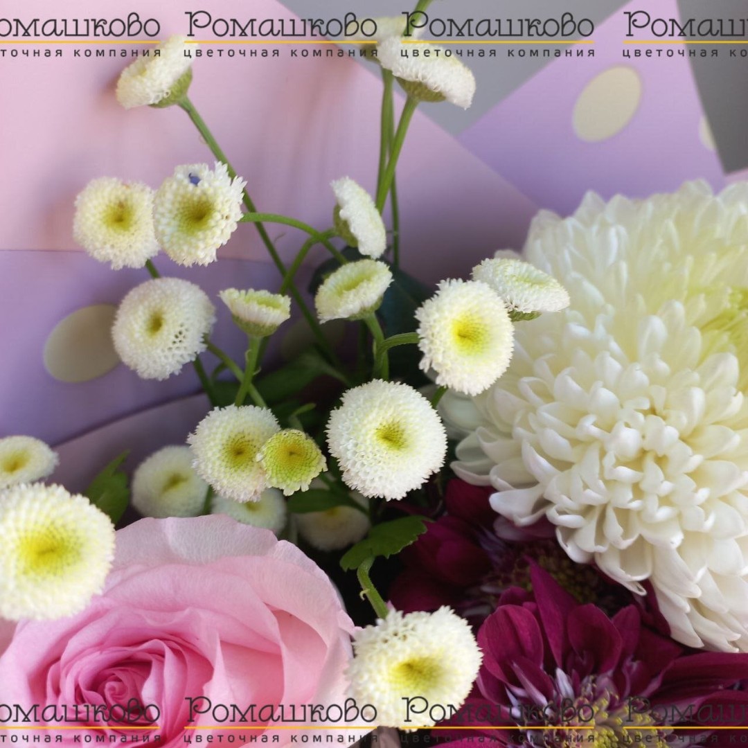 Букет из хризантем «Дива»