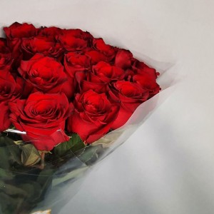 Превью Букет из 25 роз Эксплорер 80см