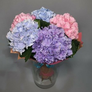 Превью Букет из 5 элегантных гортензий