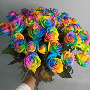 Превью Роза радужная