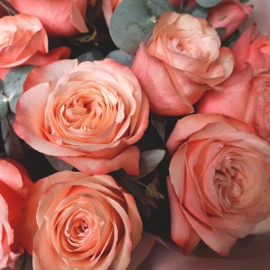 Превью Букет из розы «Констанция»