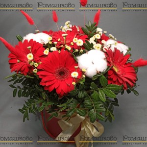 Превью Букет из гербер «Верене»