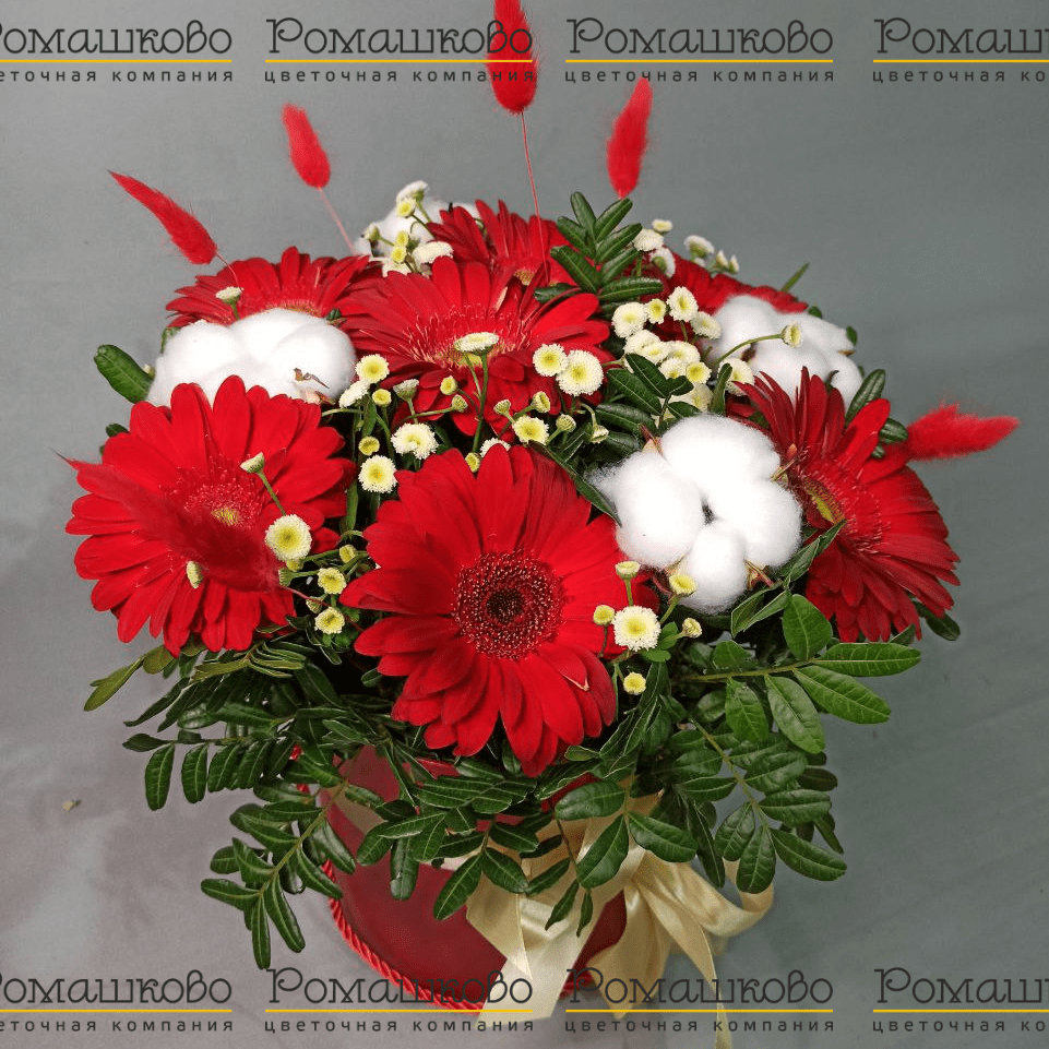 Букет из гербер «Верене»