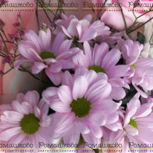 Превью Букет из хризантем «Феличе»