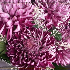 Превью Букет из хризантемы «Гаелл»