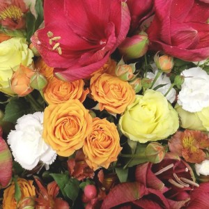 Превью Букет из роз «Изабель»