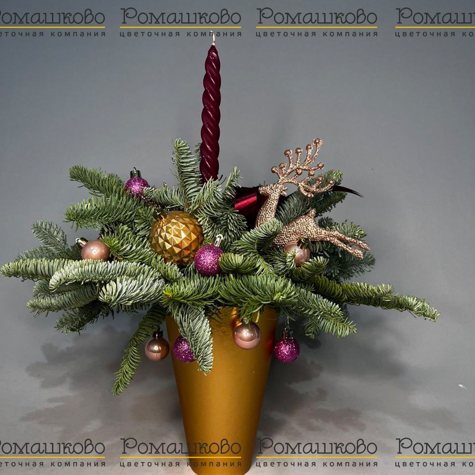 Мороз и солнце