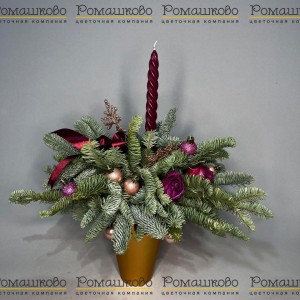 Превью Мороз и солнце