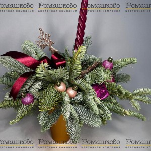 Превью Мороз и солнце