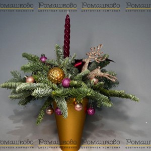 Превью Мороз и солнце