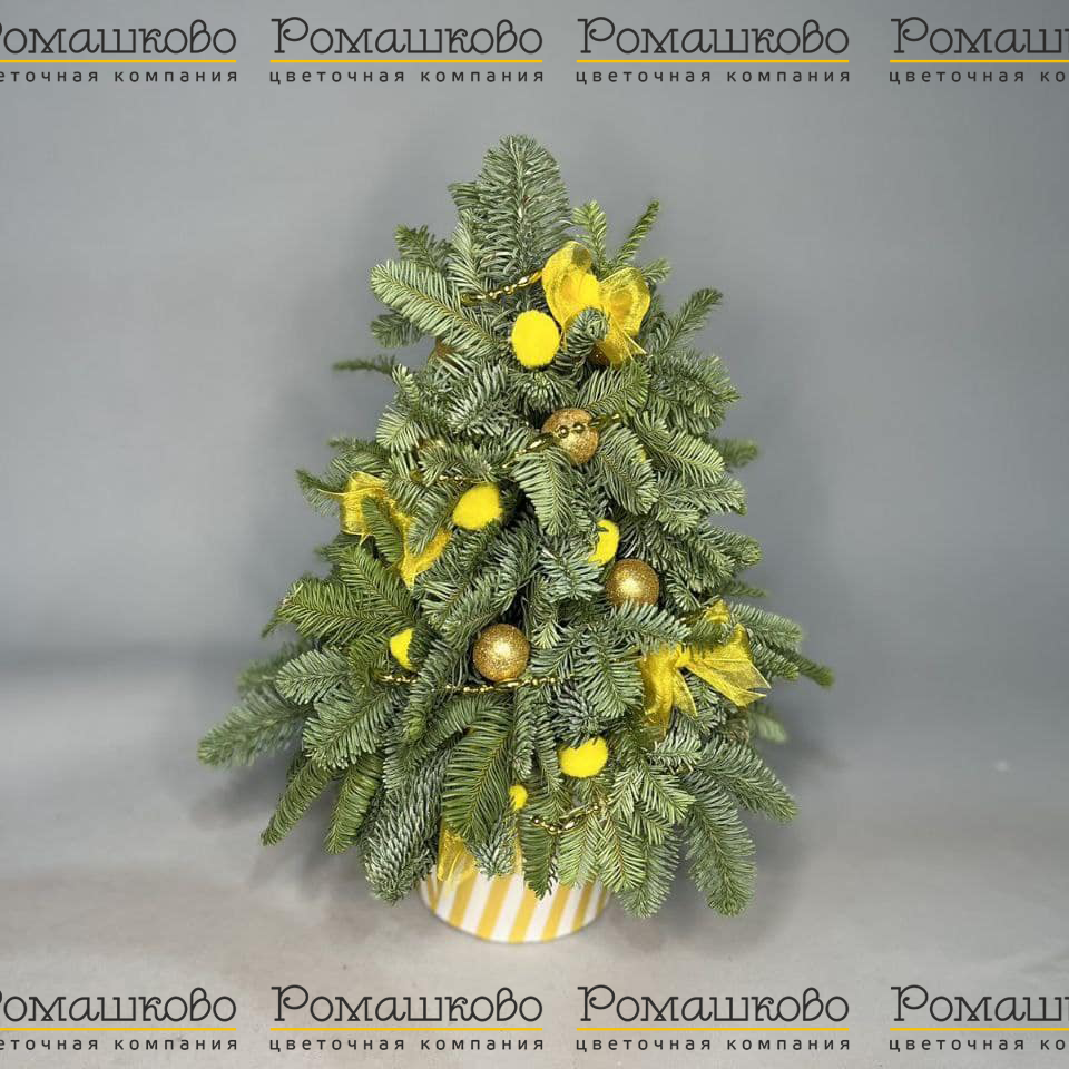 Золотая елочка