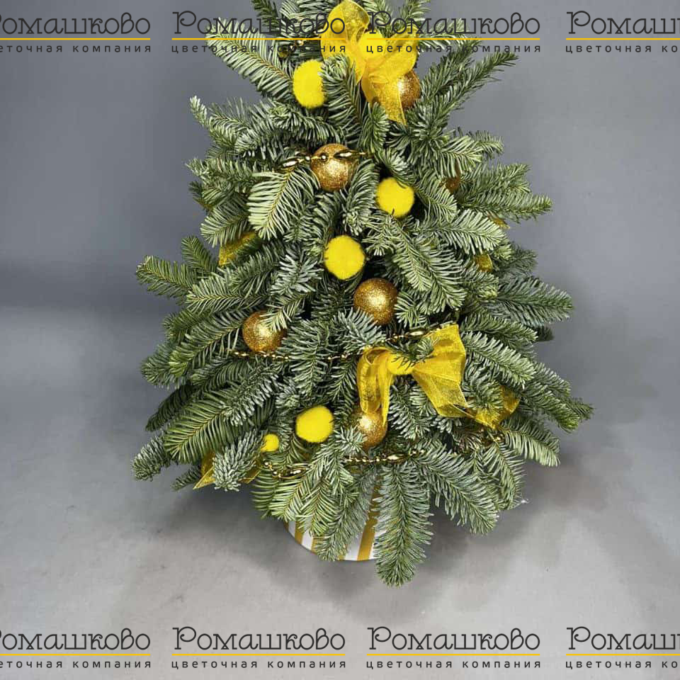Золотая елочка