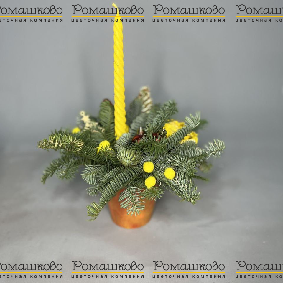 Теплые чувства