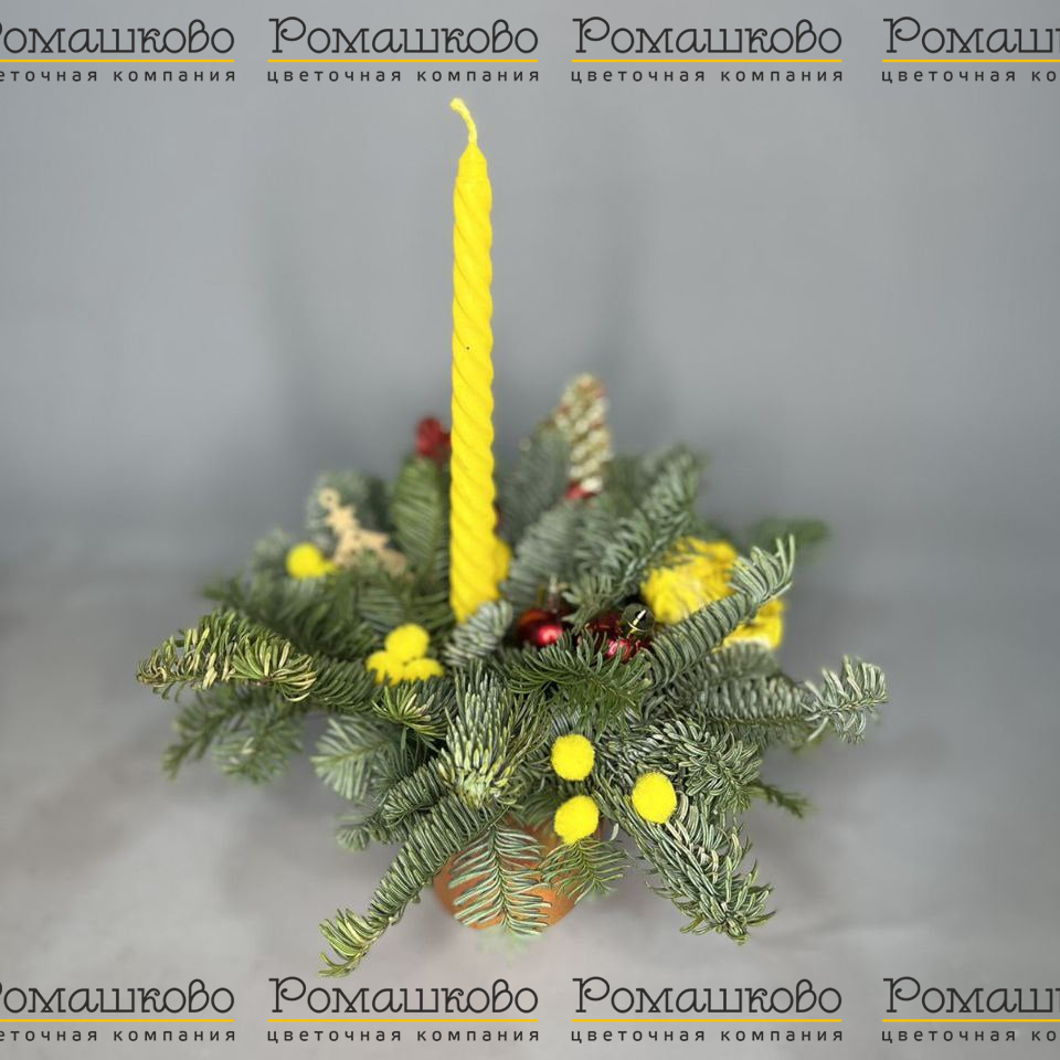 Теплые чувства