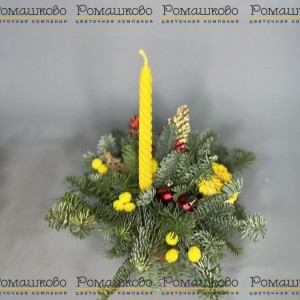 Превью Теплые чувства