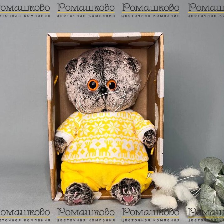 Кот Басик BABY в зимней пижамке