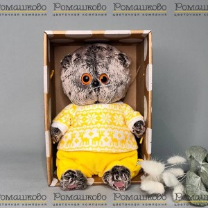 Превью Кот Басик BABY в зимней пижамке