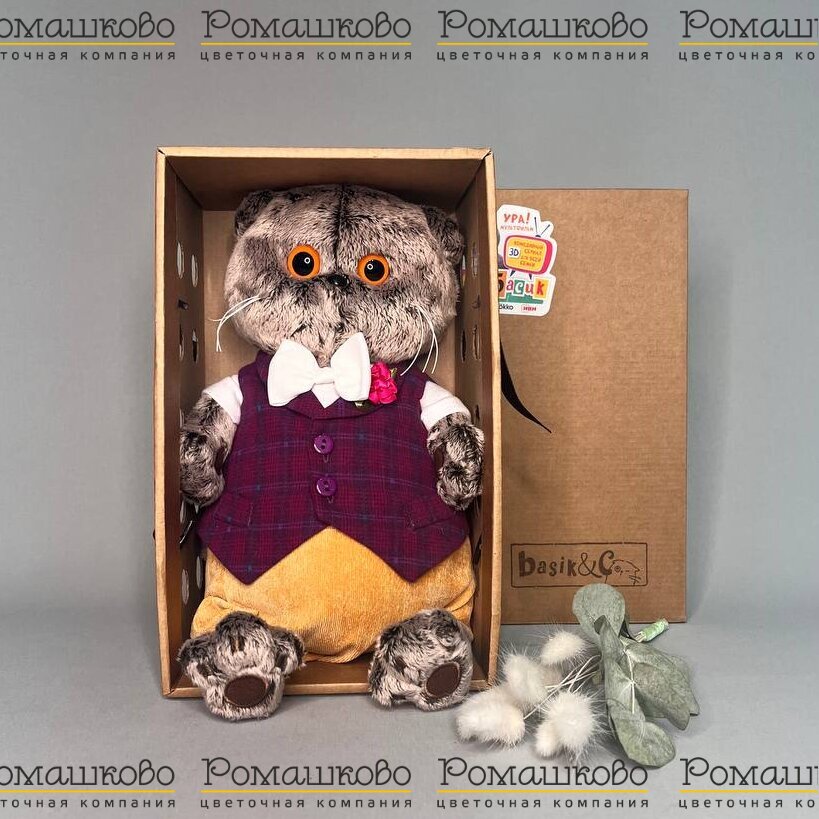 Кот Басик парадный