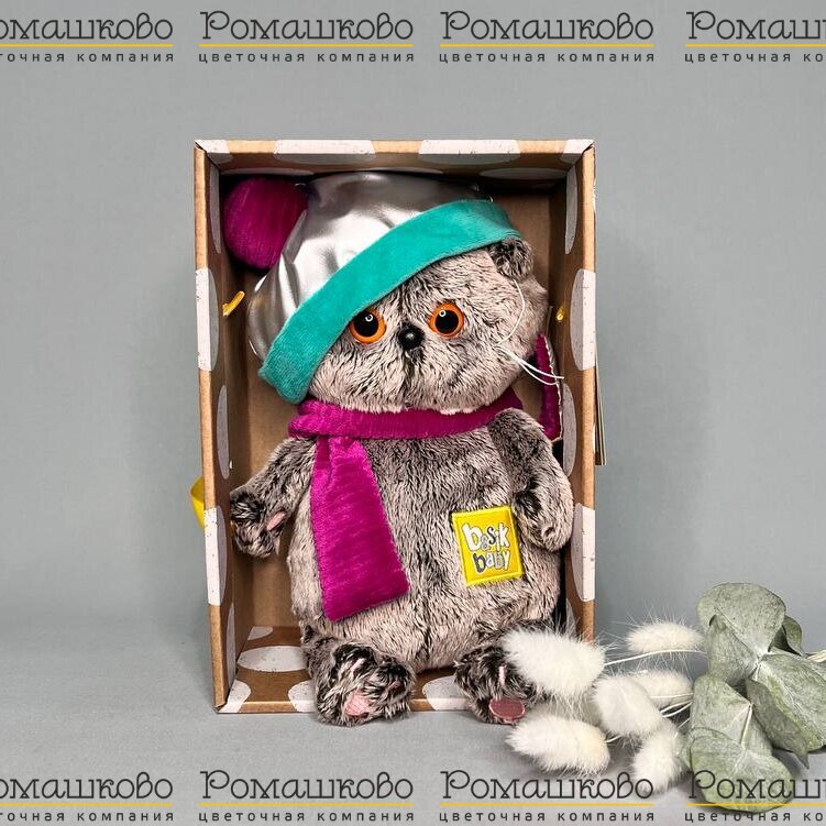 Кот Басик BABY костюмчике космос