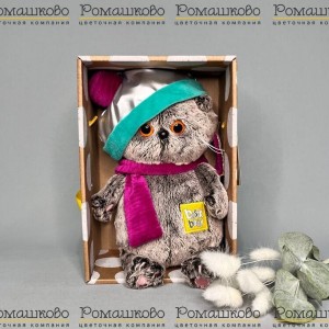 Превью Кот Басик BABY костюмчике космос