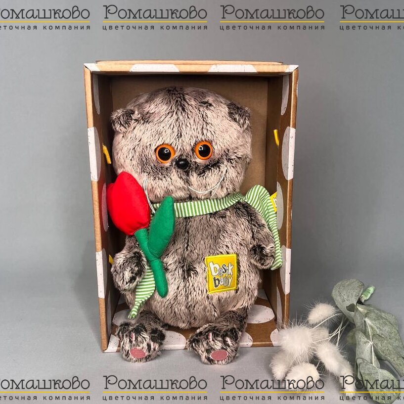 Кот Басик BABY с тюльпаном