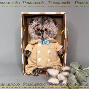 Превью Кот Басик BABY в комбинезоне из твида