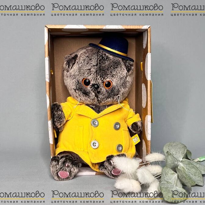 Кот Басик BABY в тренче и шляпке