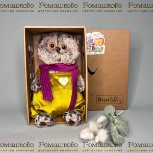 Превью Кот Басик в бархатном комбинезоне