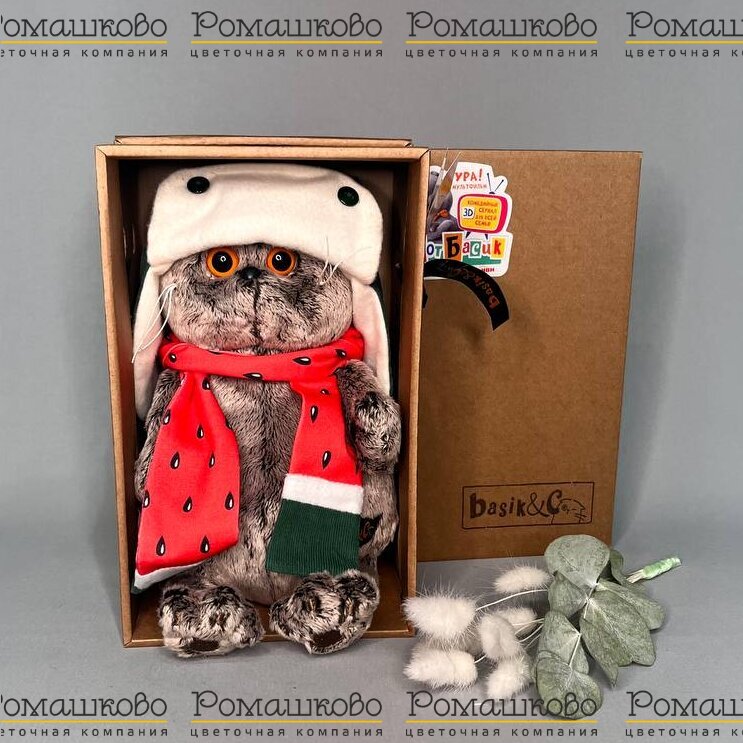 Кот Басик в двусторонней шапке и шарфе